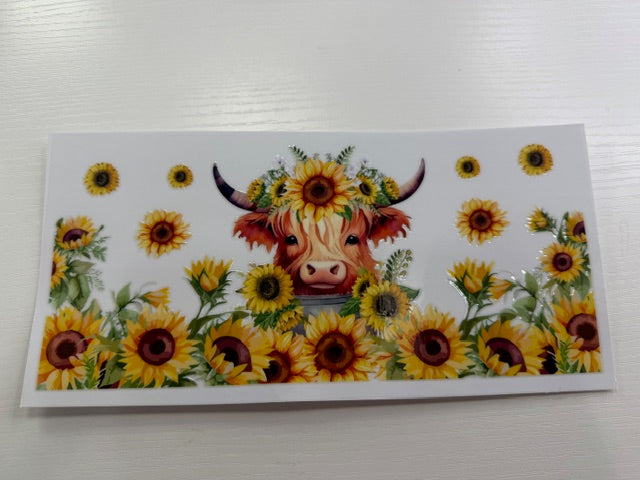 Brown Highland with Sunflowers