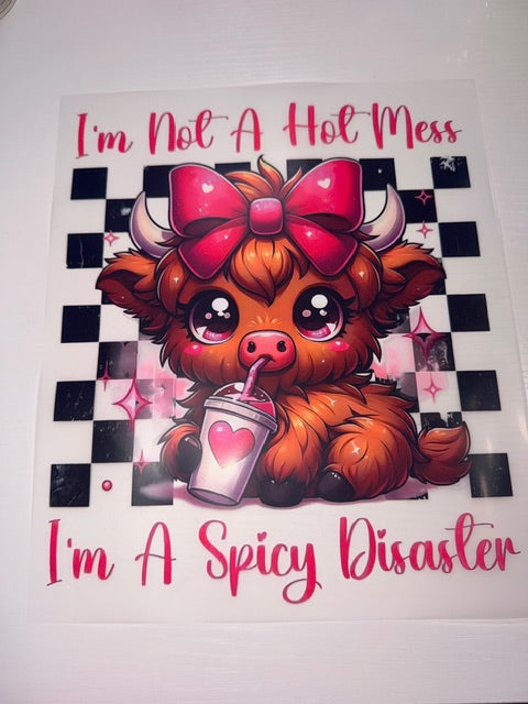 I'm Not a Hot Mess