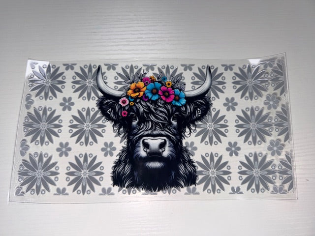 Highland cow