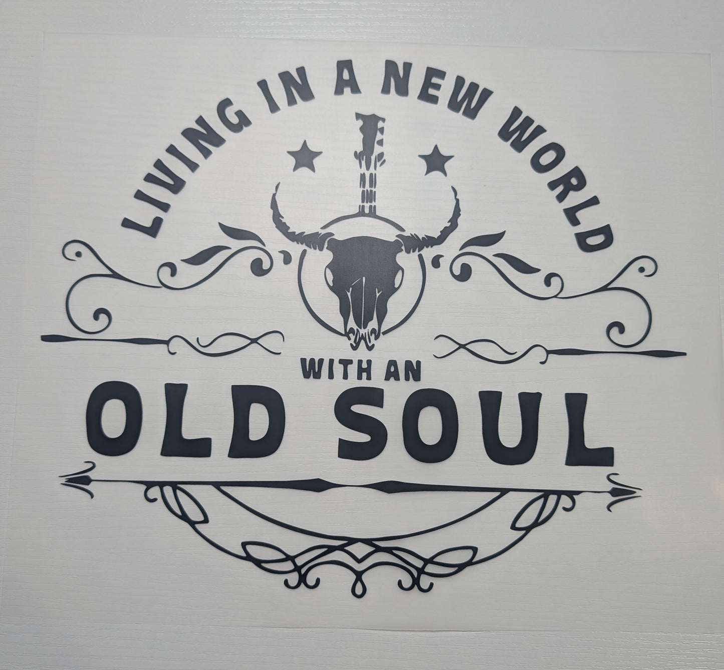 Living In A New World With an Old Soul Shirt Transfer