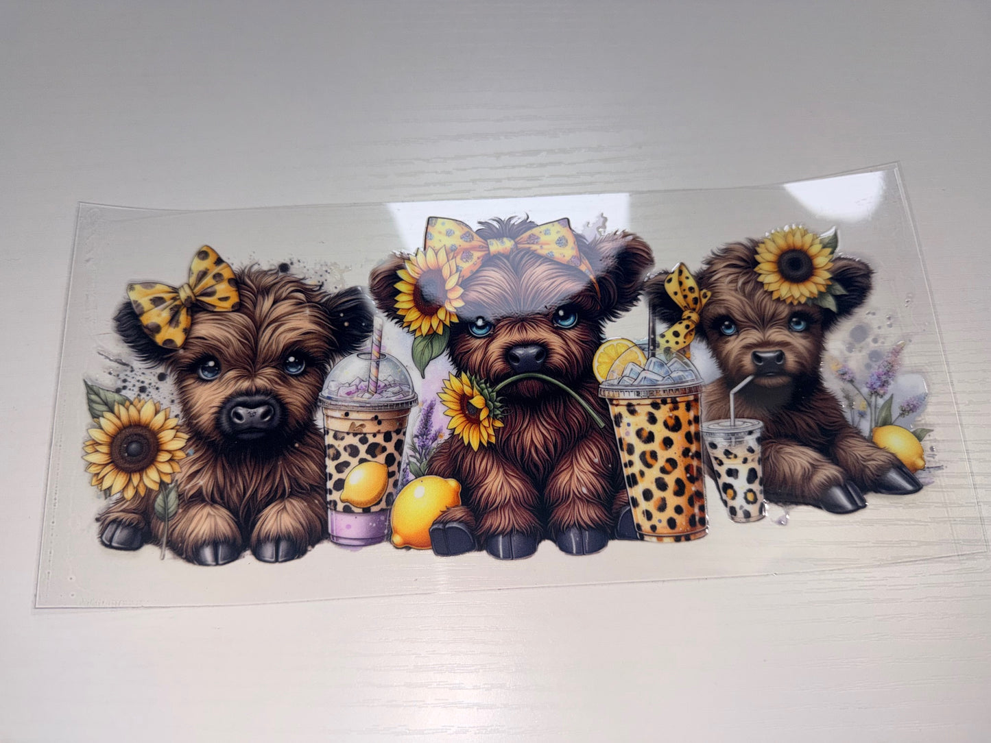 Highland Cow with Sunflowers