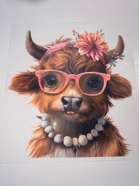 Cute Highland Cow Shirt Transfer