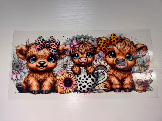 Colorful Highland Cow