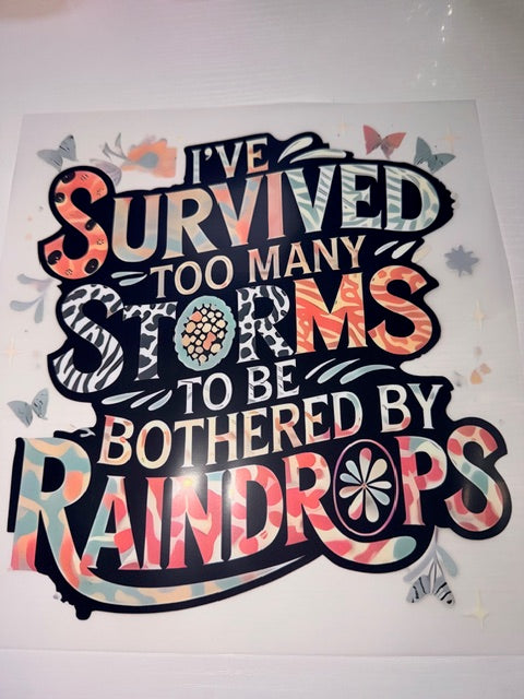 I've Survived too Many Storms
