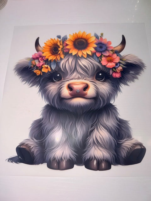 Cute Cow
