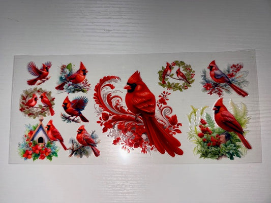 Red Cardinal