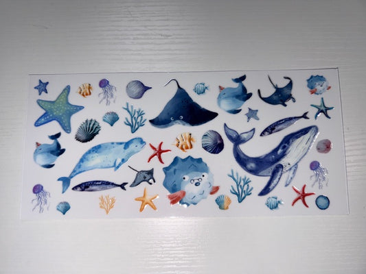 Ocean Animals