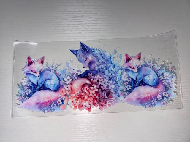 Foxes